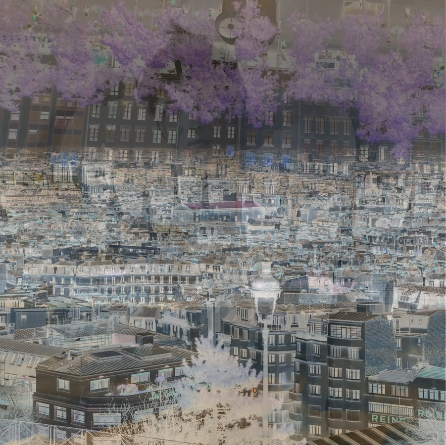 the surreal side of French