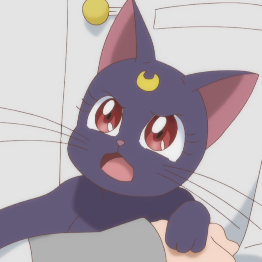 Luna can't help us