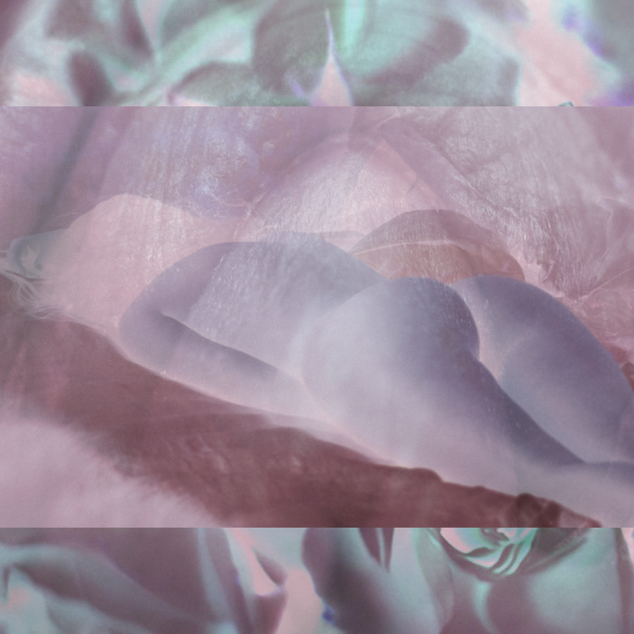pink flowers bloom at midnight remix